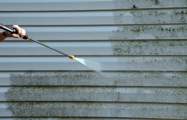 Best Driveway Pressure Washing  in Star City, WV